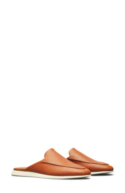 Wolf & Shepherd Coast Mule In Brown