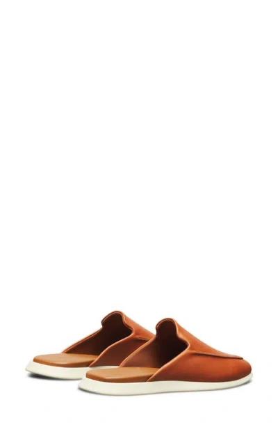 Wolf & Shepherd Coast Mule In Brown