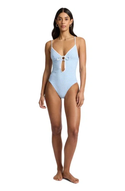 Onia Soleil Tie Front One-piece In Metallic