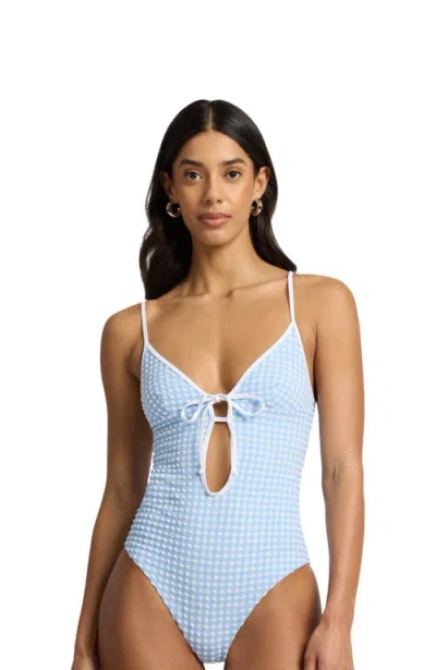 Onia Soleil Tie Front One-piece In Metallic