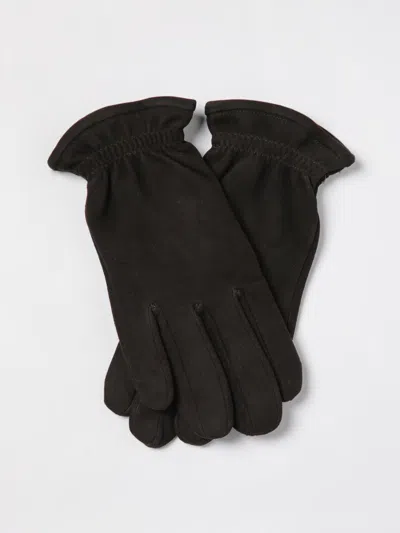 Orciani Gloves Brown In Brown