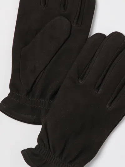 Orciani Gloves Brown In Brown