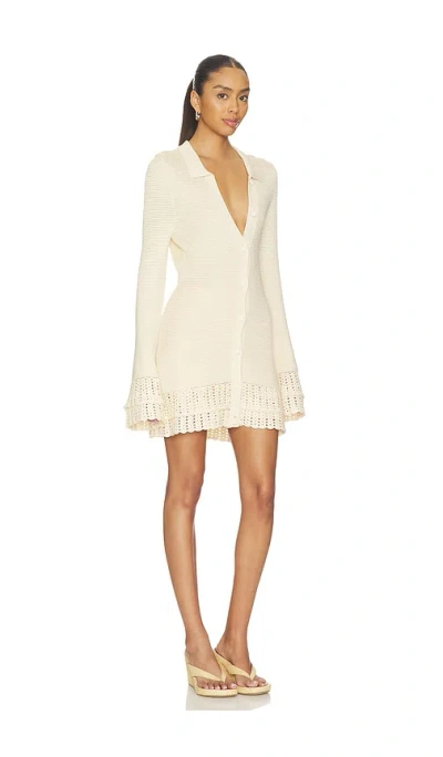 Devon Windsor Wendy Tunic In White
