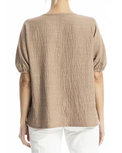 Max Studio V-neck Top In Brown