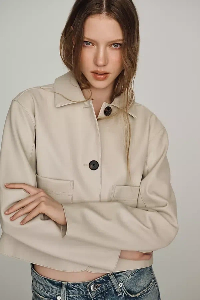 Blanknyc Cloud Dancer Jacket Stone In Brown