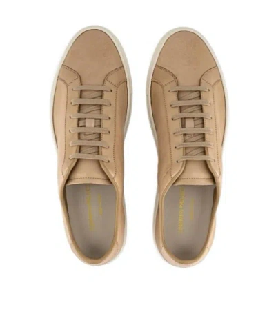 Common Projects Leather Sneakers In Brown