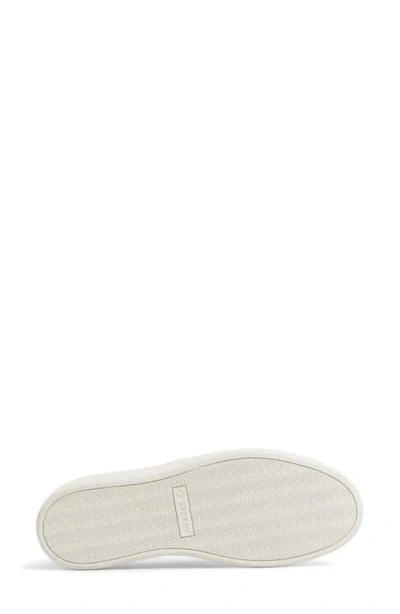 Sperry Candy Cvo Platform Sneaker In Blue
