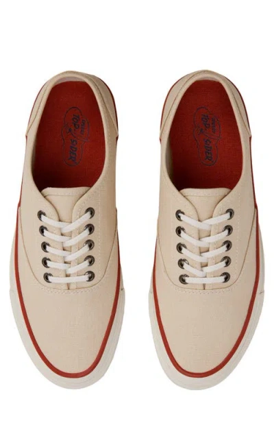 Sperry Top-sider® Cvo Sneaker In Multi