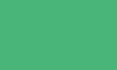 Haand Ripple Salad Plate In Green