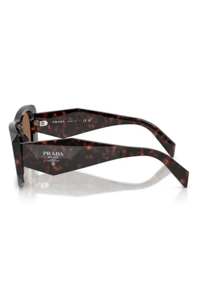 Prada 53mm Square Sunglasses In Brown