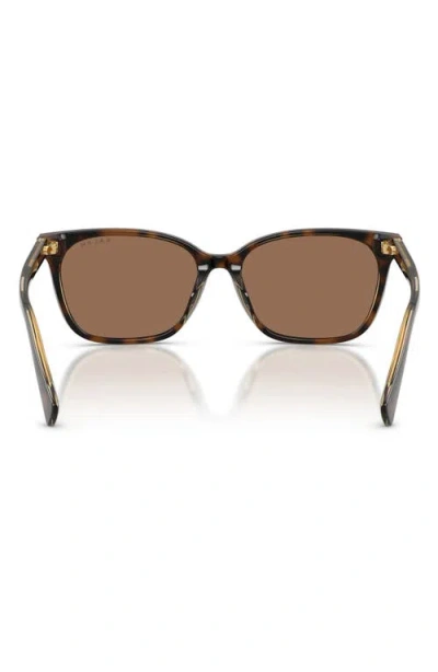 Ralph 56mm Gradient Square Sunglasses In Brown