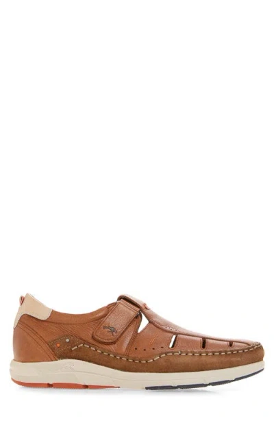 Fluchos Kai Sneaker In Brown