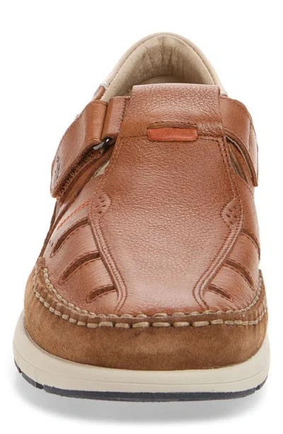 Fluchos Kai Sneaker In Brown