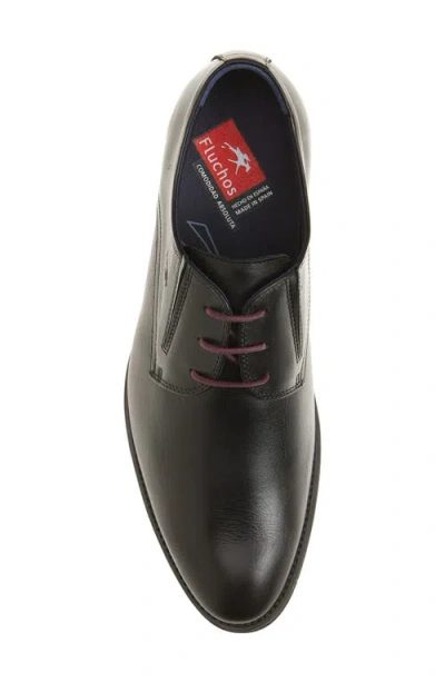 Fluchos Heracles Plain Toe Derby In Black