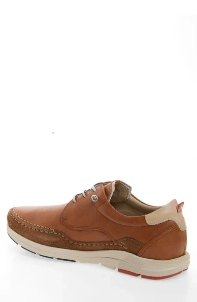 Fluchos Kai Sneaker In Brown