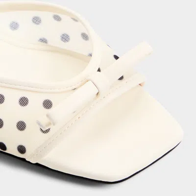 Aldo Begoniaa In Multi