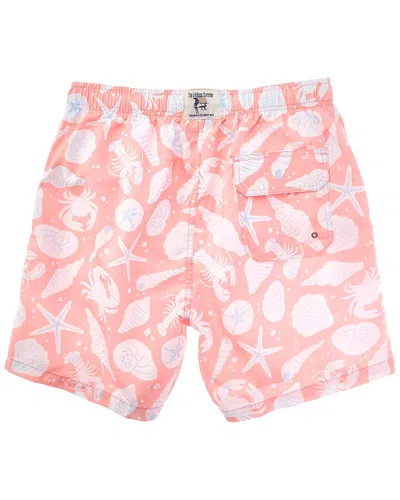 Endless Summer Swim Trunk In Multi