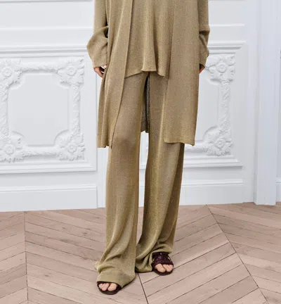 Dior Or Flared Pants In Brown