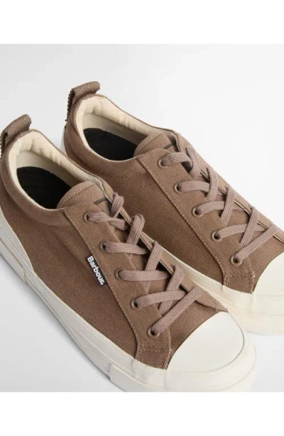 Barbour Stanhope Canvas Low Top Sneaker In Multi