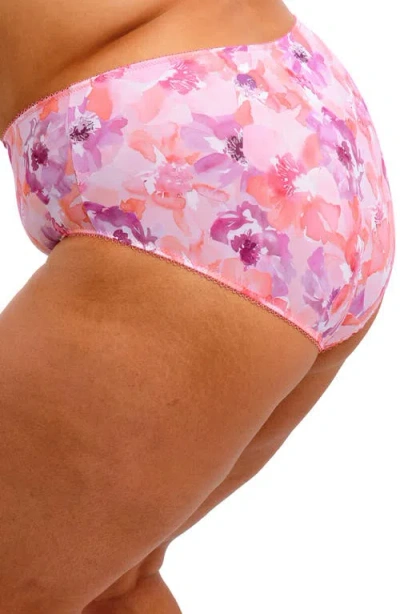 Goddess Plus Size Kayla Full Coverage Brief Underwear In Multi