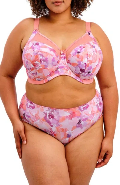 Goddess Plus Size Kayla Full Coverage Brief Underwear In Multi