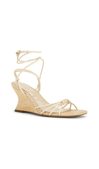 Sam Edelman Daxton Sandal In Brown