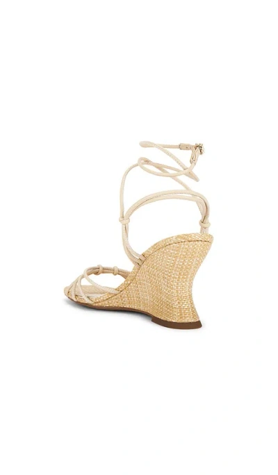 Sam Edelman Daxton Sandal In Brown