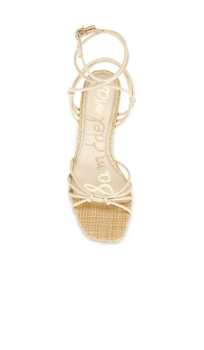 Sam Edelman Daxton Sandal In Brown