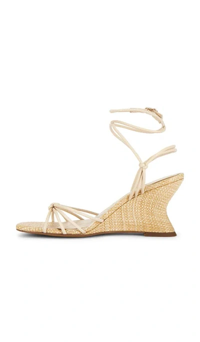 Sam Edelman Daxton Sandal In Brown