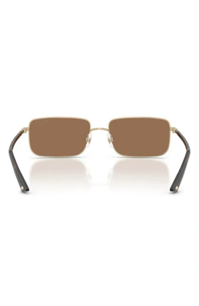 Jimmy Choo 55mm Rectangular Sunglasses In Brown