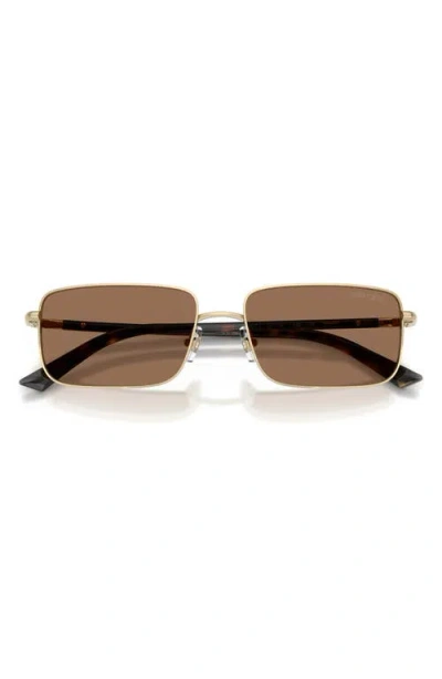 Jimmy Choo 55mm Rectangular Sunglasses In Brown