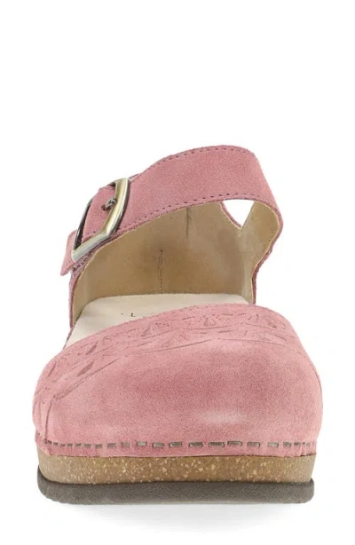Dansko Mae Ankle Strap Platform Clog In Pink