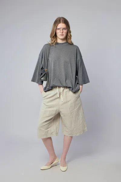 Sofie D'hoore Oversized T-shirt S/sl C/neck In Gray