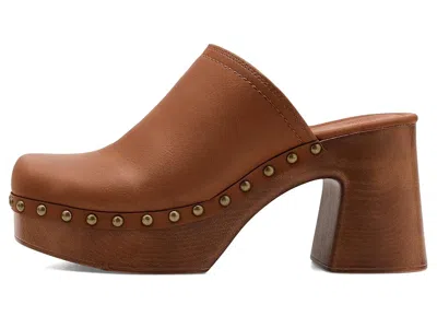 Frye And Co Wylie Clogs In Brown