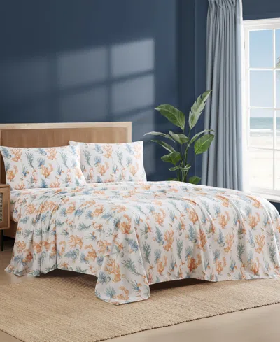 Caribbean Joe Coastal Pattern 4-pc. Sheet Set, Queen In Multi