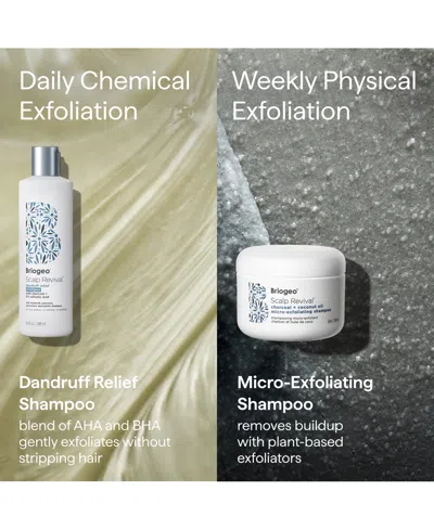 Briogeo Scalp Revival Dandruff Relief Shampoo With Salicylic Acid 8.4 Fl Oz/248 ml In Transparent