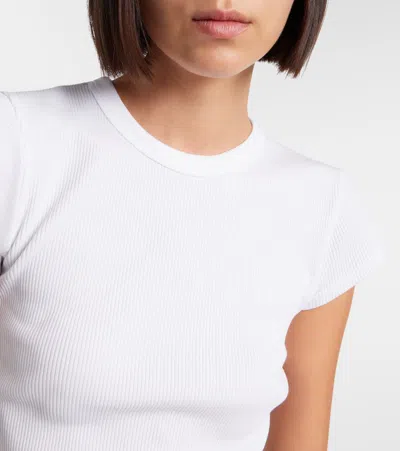 Agolde Bryce Cap Sleeve Tee In Cholla In Multi