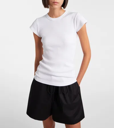 Agolde Bryce Cap Sleeve Tee In Cholla In Multi