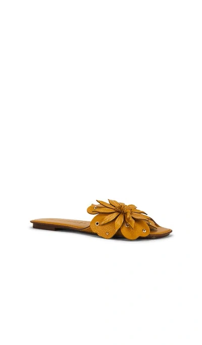 Zimmermann Brightside Slide In Brown