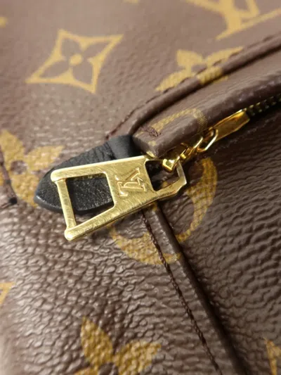 Louis Vuitton Palm Springs Backpack In Brown