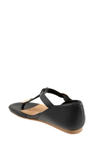 Softwalk Charlotte Sandal In Black