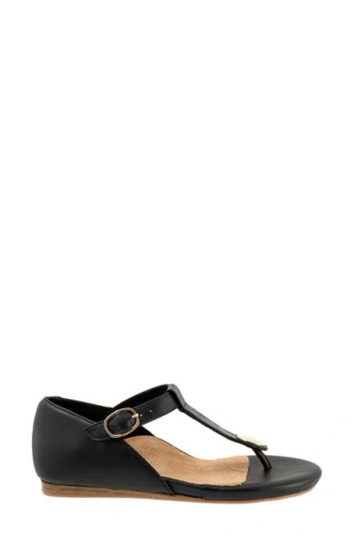 Softwalk Charlotte Sandal In Black