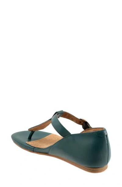 Softwalk Charlotte Sandal In Green