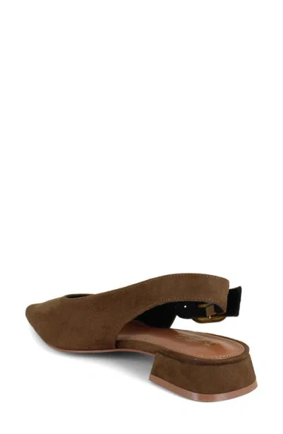 Bcbg Leonora Slingback Pointed Toe Pump In Brown