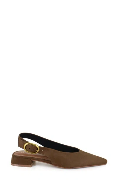 Bcbg Leonora Slingback Pointed Toe Pump In Brown