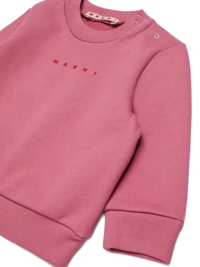 Marni Logo-print Shoulder-button Sweatshirt In Pink