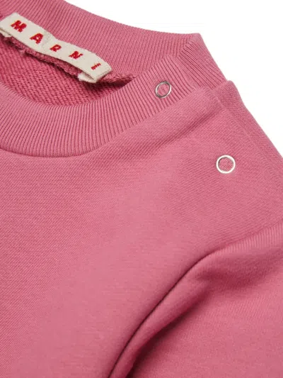 Marni Logo-print Shoulder-button Sweatshirt In Pink