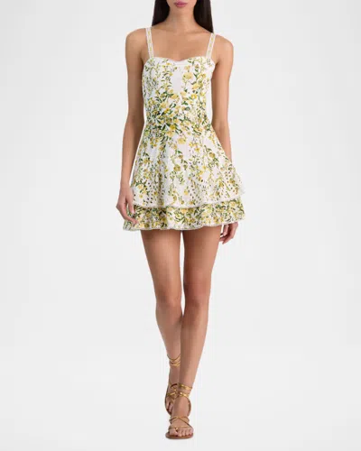Alice And Olivia Meredith Sweetheart Drop Ruffle Flare Mini Dress In Multi