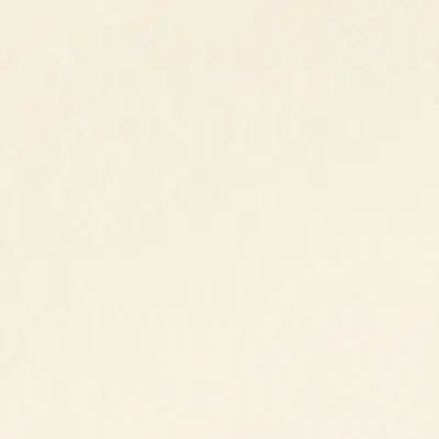 Aldo Lisarae In Neutral
