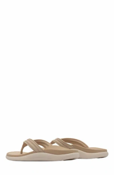 Abeo Laguna Thin Strap In Brown